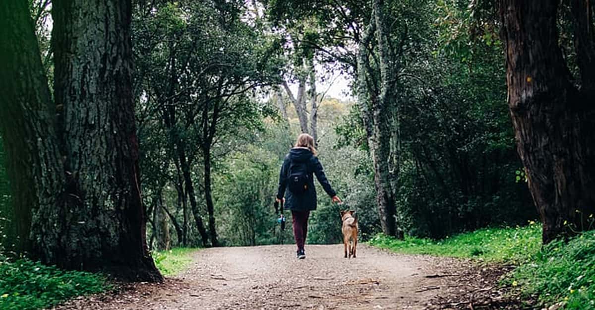 5 Easy Things To Do Everyday For A Healthy Heart