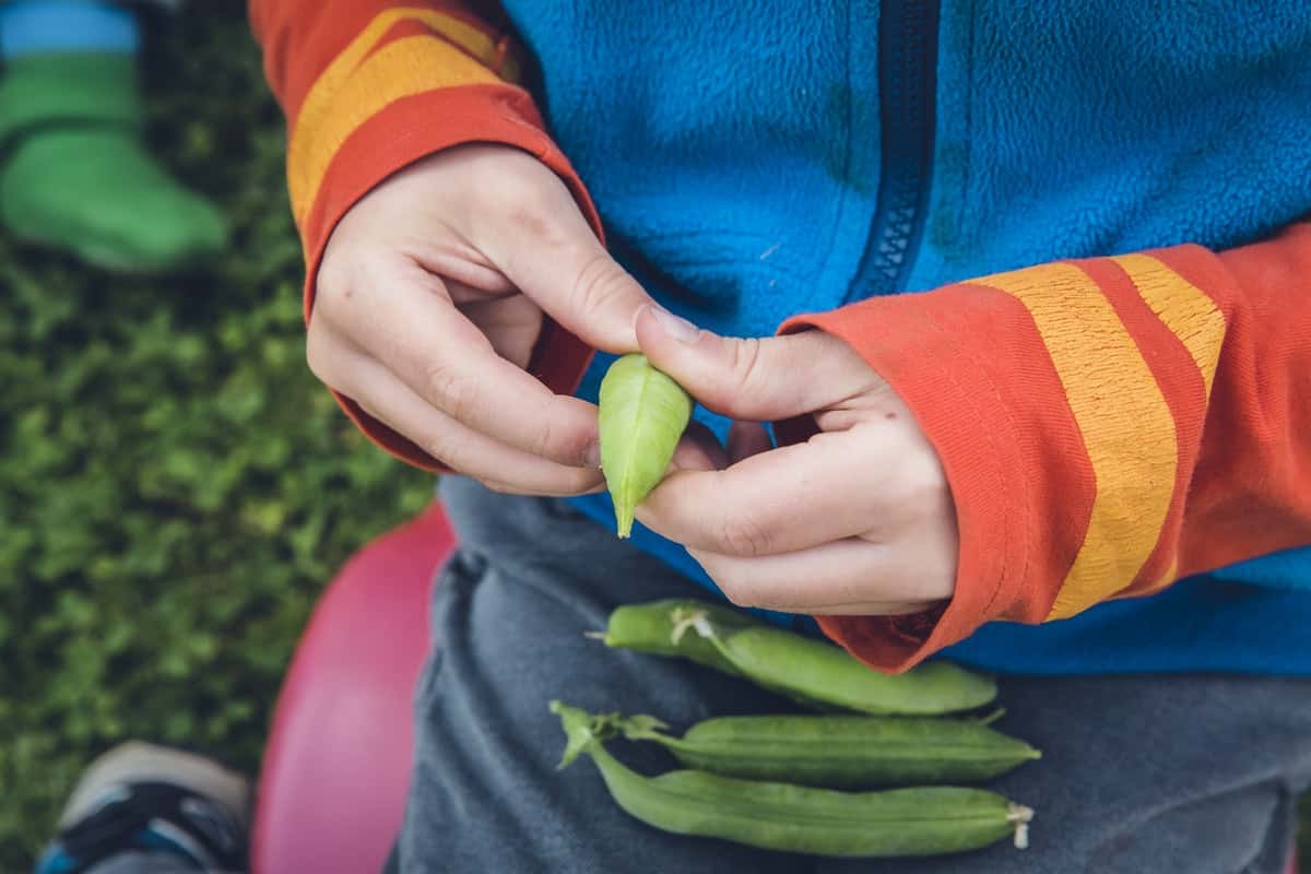 image-from-rawpixel-id-432676-jpeg