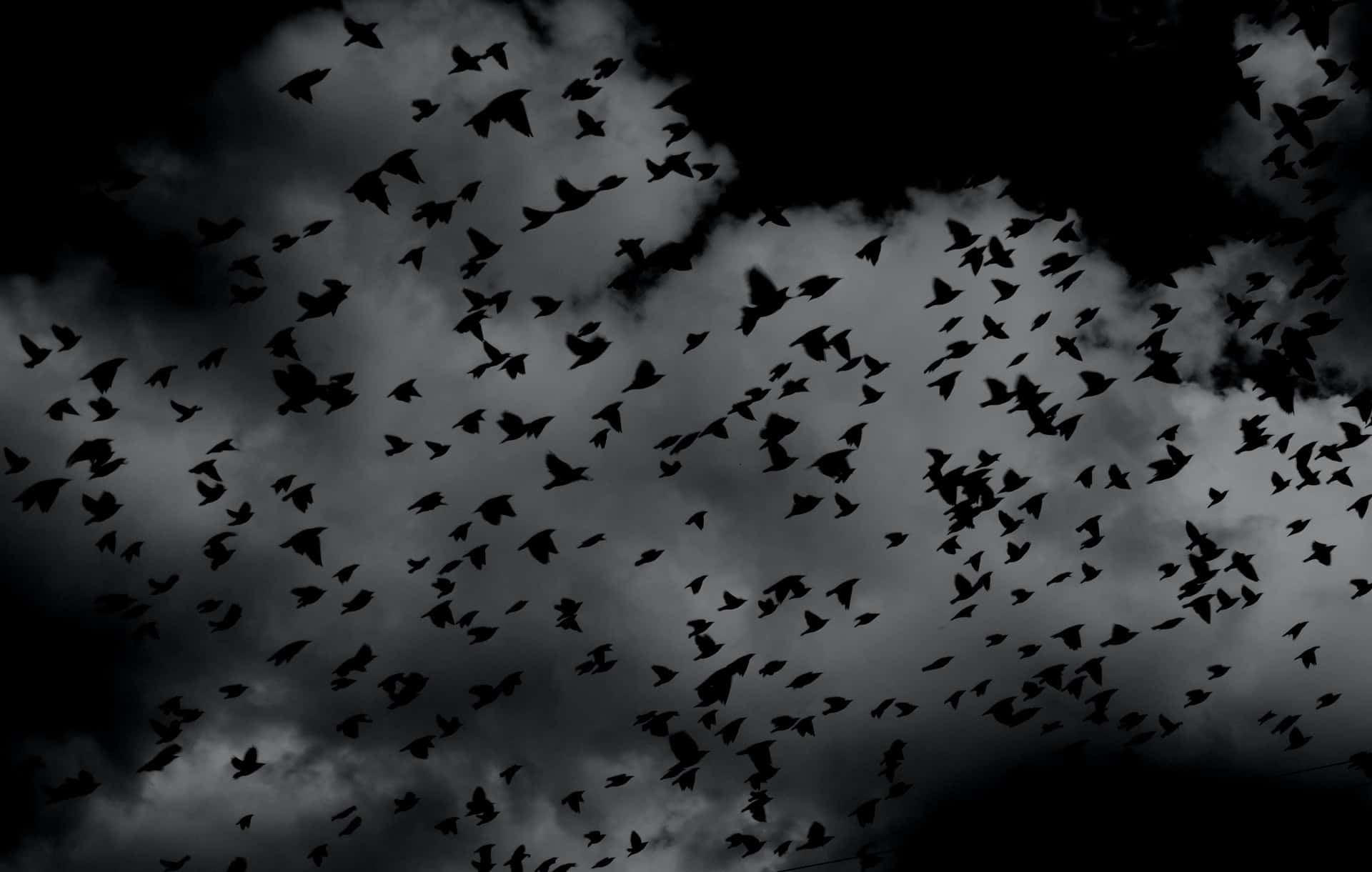 pelly-benassi-Hz1WQbHcXag-unsplash