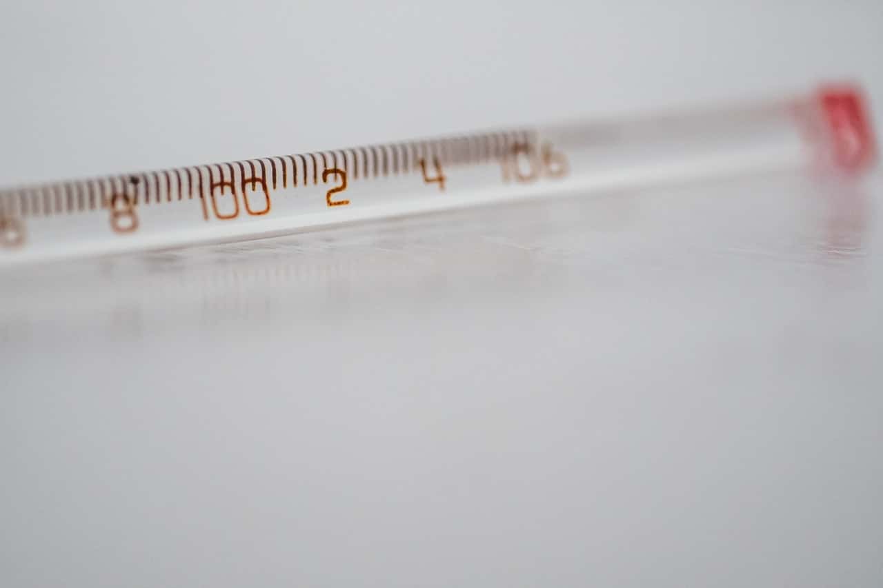 pexels-jessica-lewis-4022769