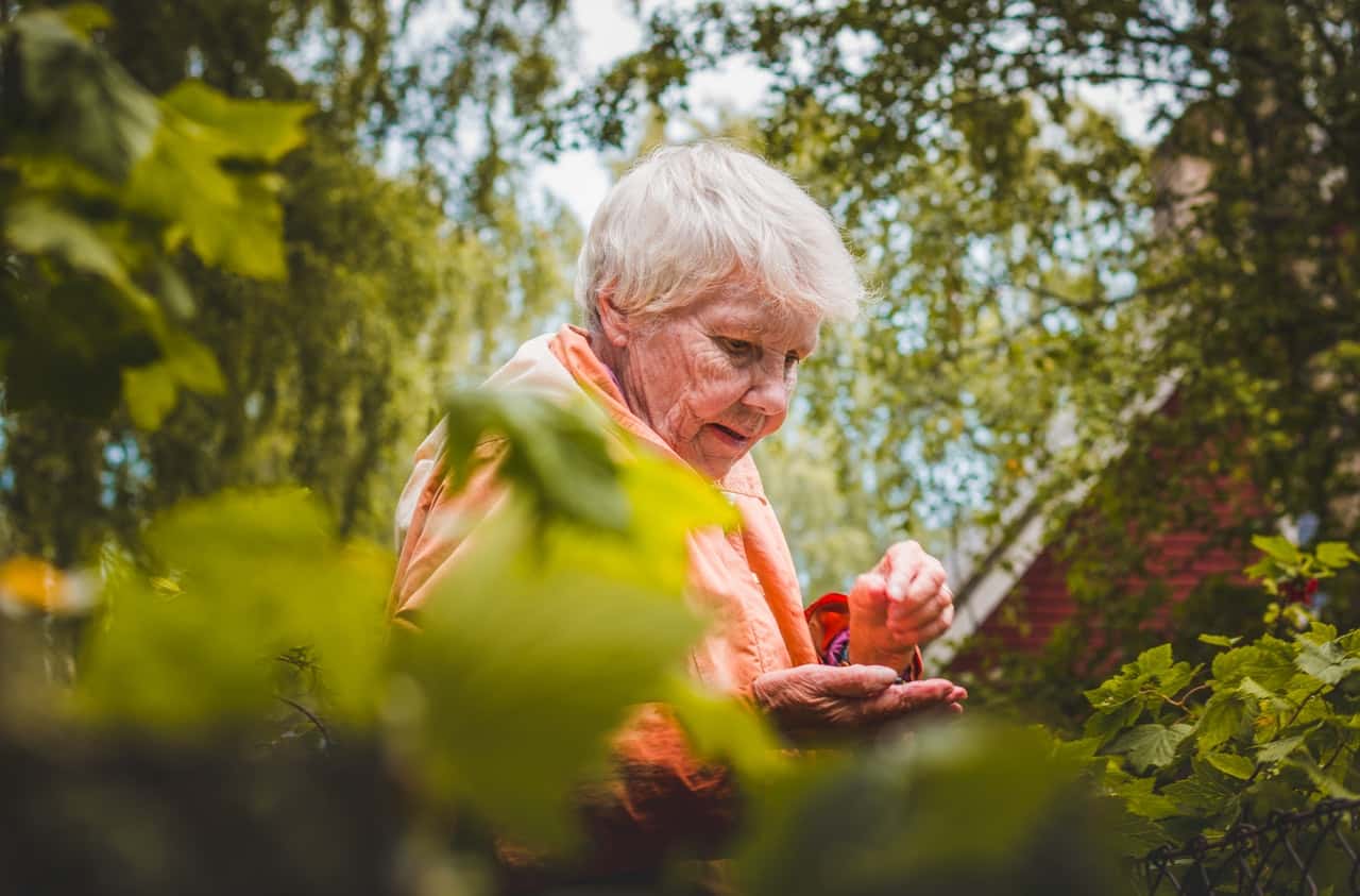 shallow-focus-photo-of-woman-near-plants-2769001