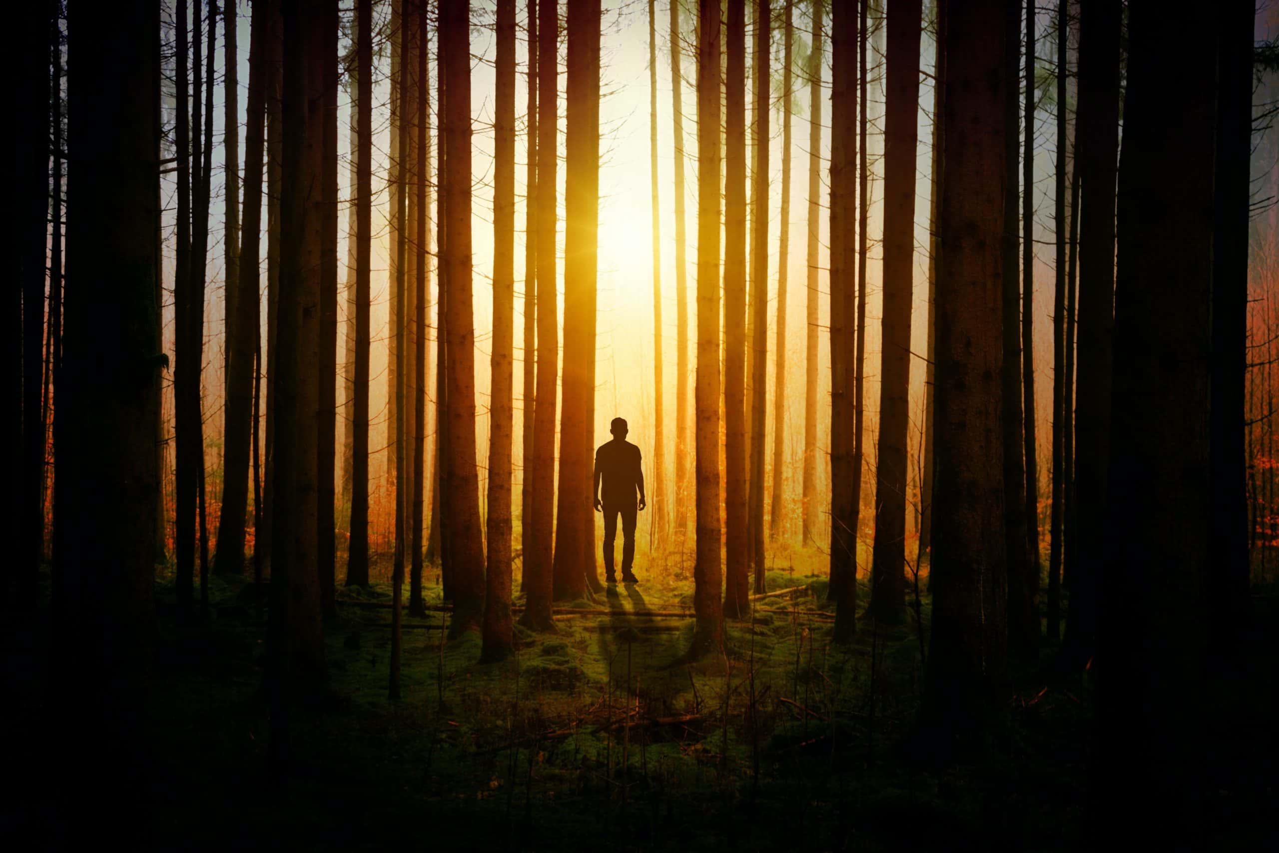 silhouette-of-a-man-during-sunset-1114897