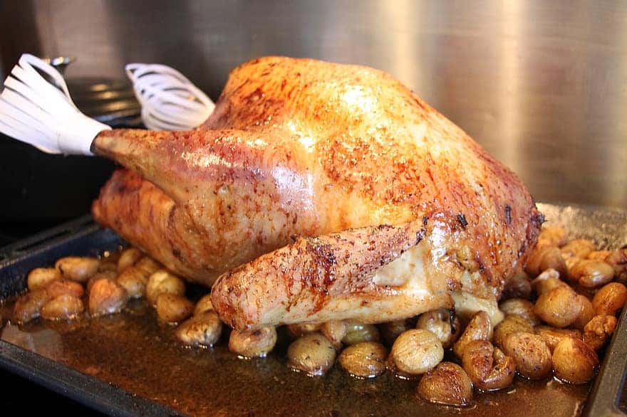thanksgiving-turkey-chestnuts-food-poultry-fall-celebration
