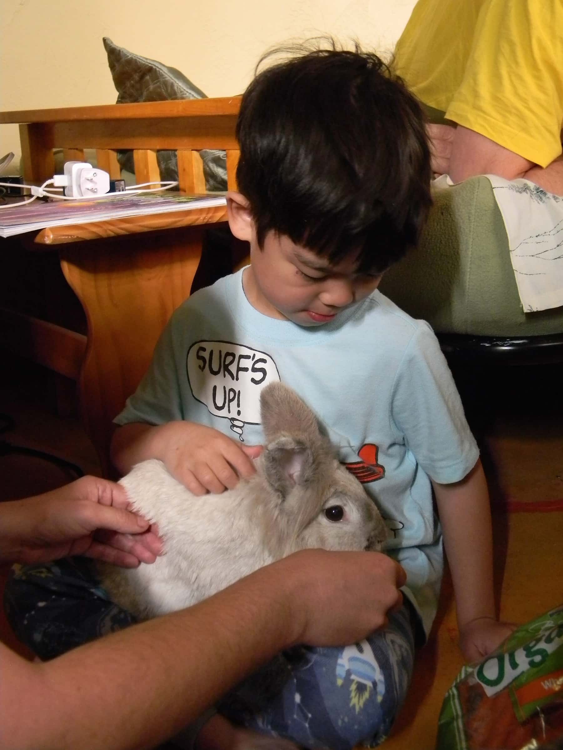 26488846290_d86f587f6b_o