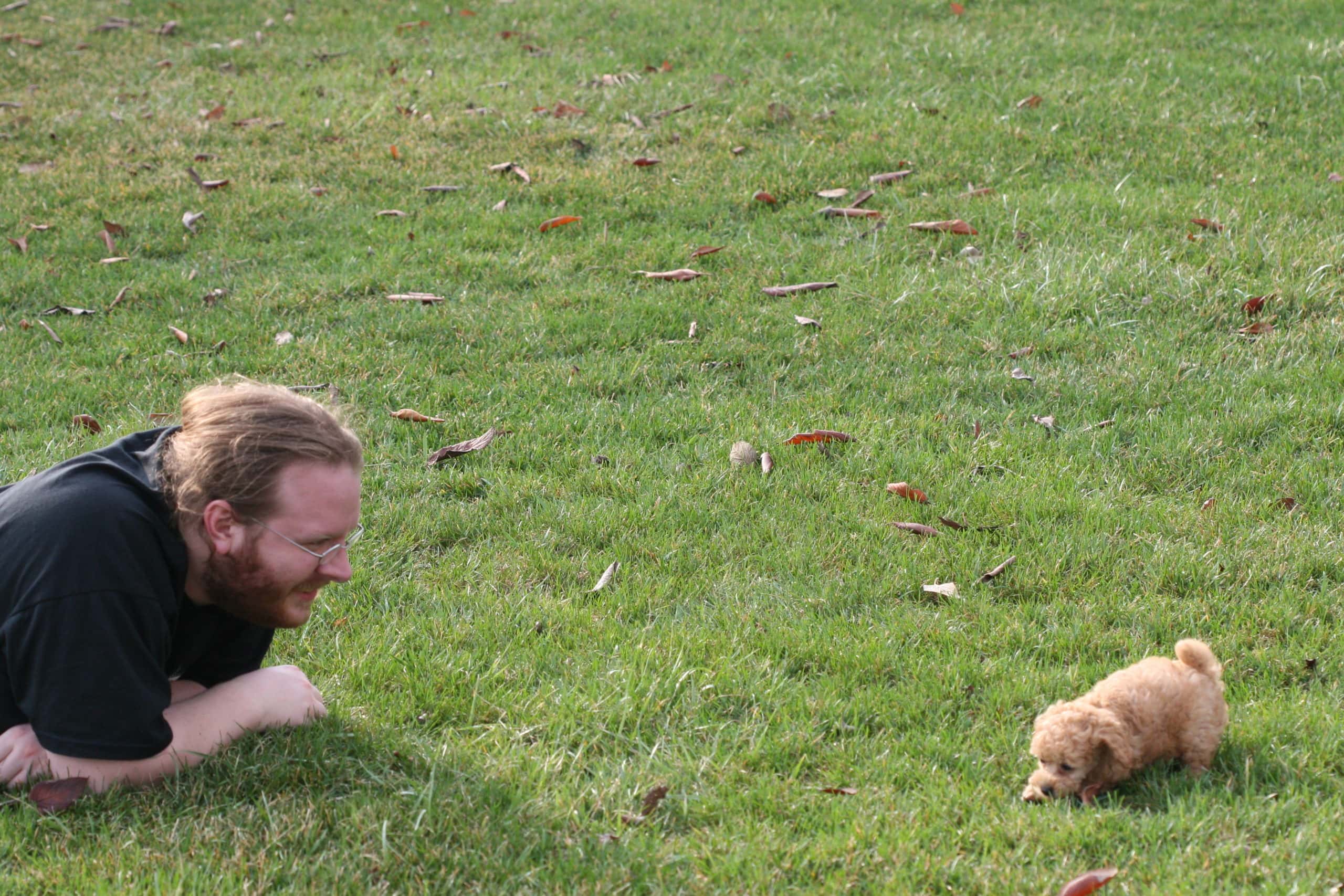 433008009_28c410b3a5_o