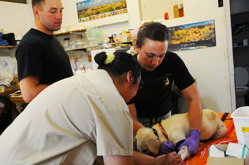 Veterinarians_make_a_difference_at_small_animal_clinc_150623-N-TW039-006