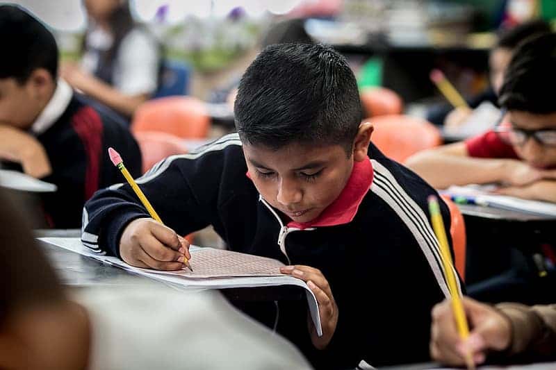 boy-in-black-and-red-long-sleeve-shirt-writing-on-white-paper