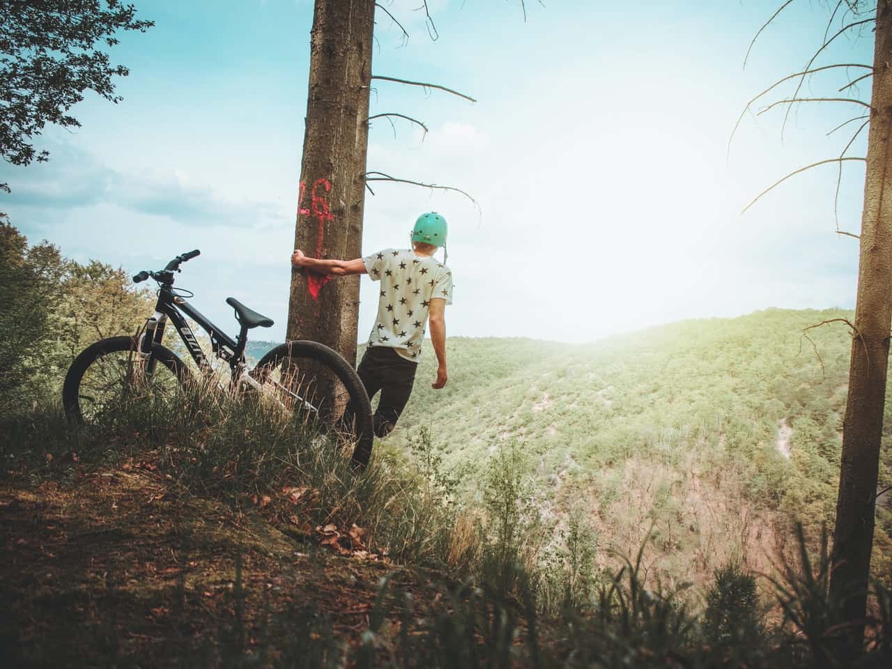 man-holding-tree-enjoying-the-view-mountain-1068596
