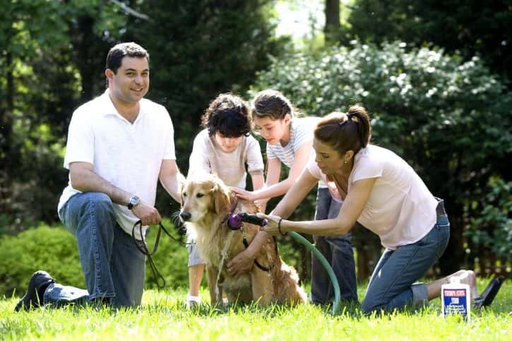 parent-child-relations-725x483