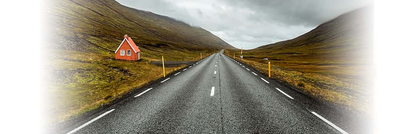 People Who Stopped To Look At Something On The Road Share What Happened