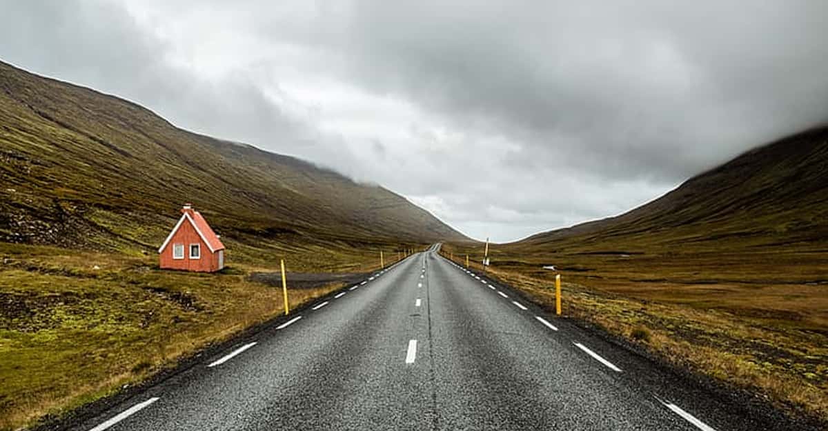 People Who Stopped To Look At Something On The Road Share What Happened