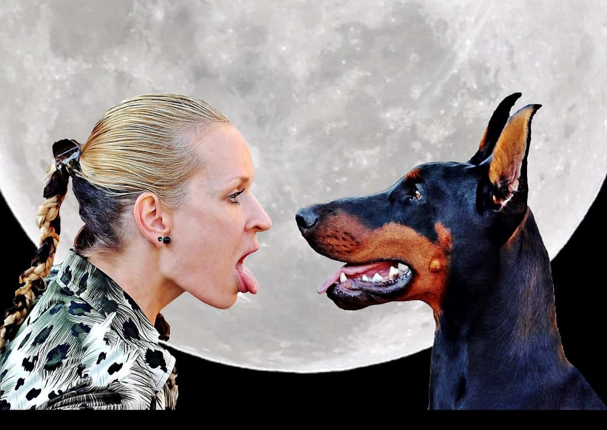 woman_language_dog_doberman_moon_animal-1059072 (1)