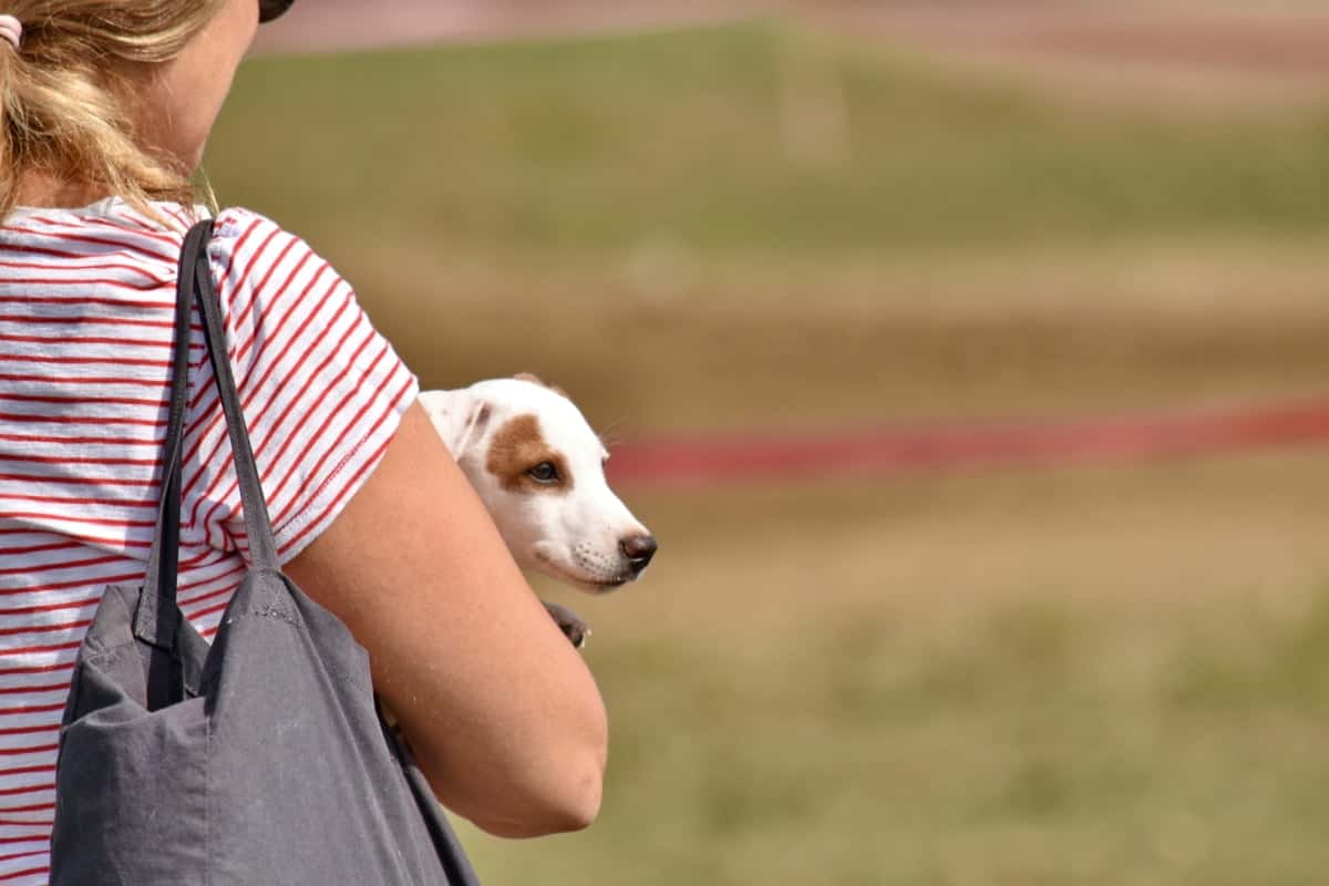 2019-09-26-17-18-01-1200x800