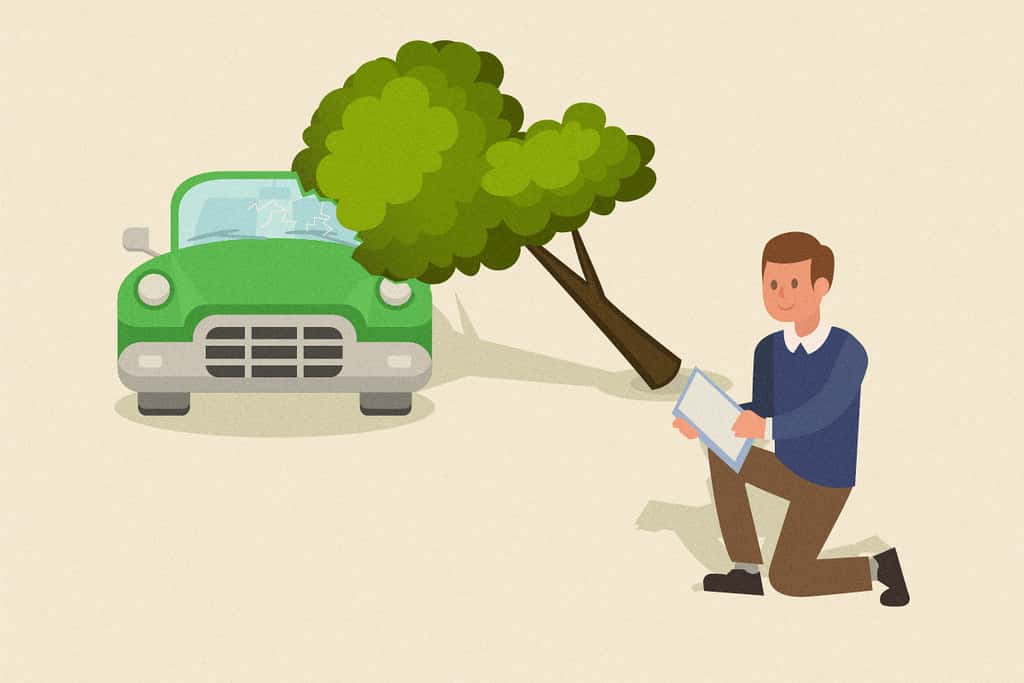 33638436813_f87fc0eff9_b