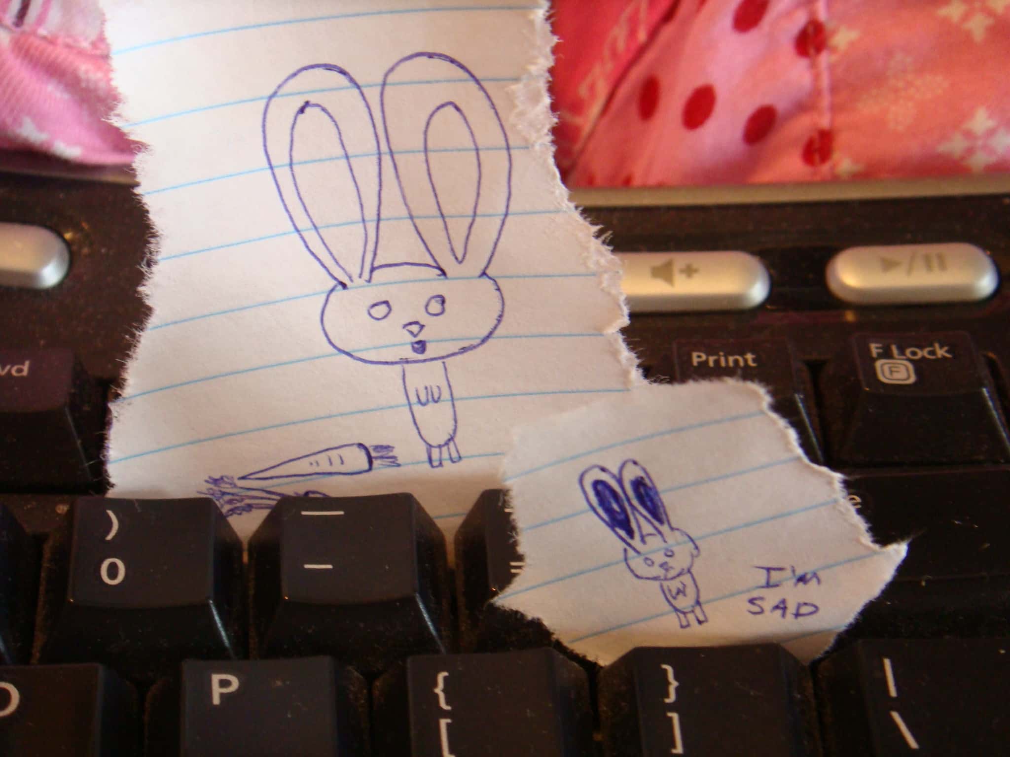 4779103757_923f8e8c27_o