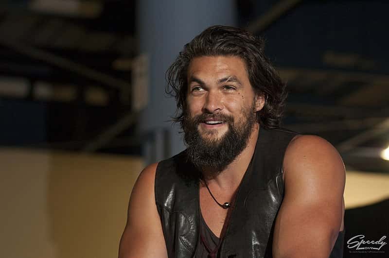 800px-FSC2014_-_Jason_Momoa_Q&A_panel_52