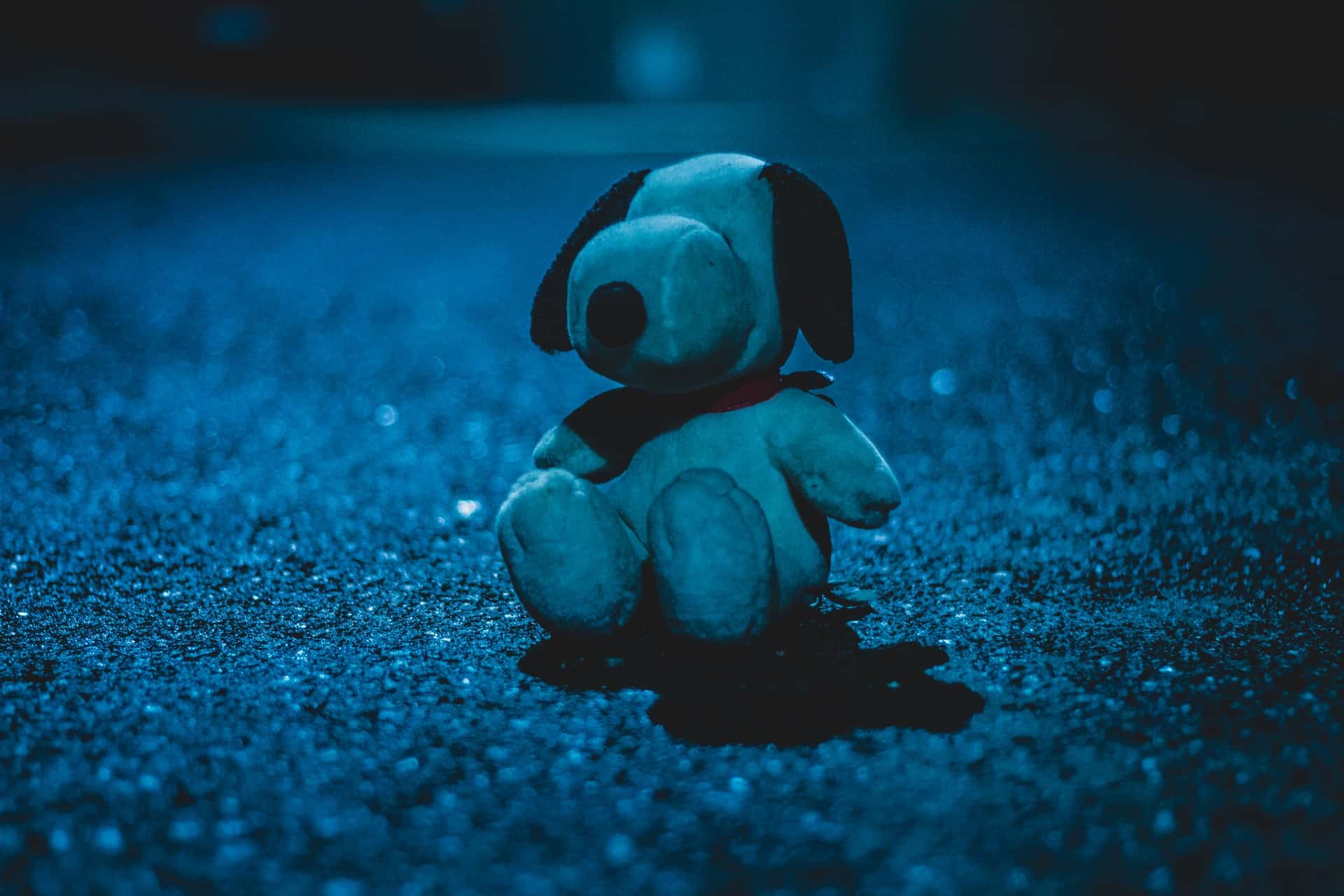 cristian-s-1mazhD9H-00-unsplash