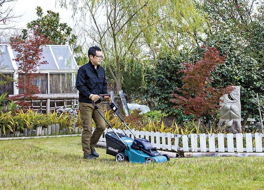 cutter-grass-lawn-garden