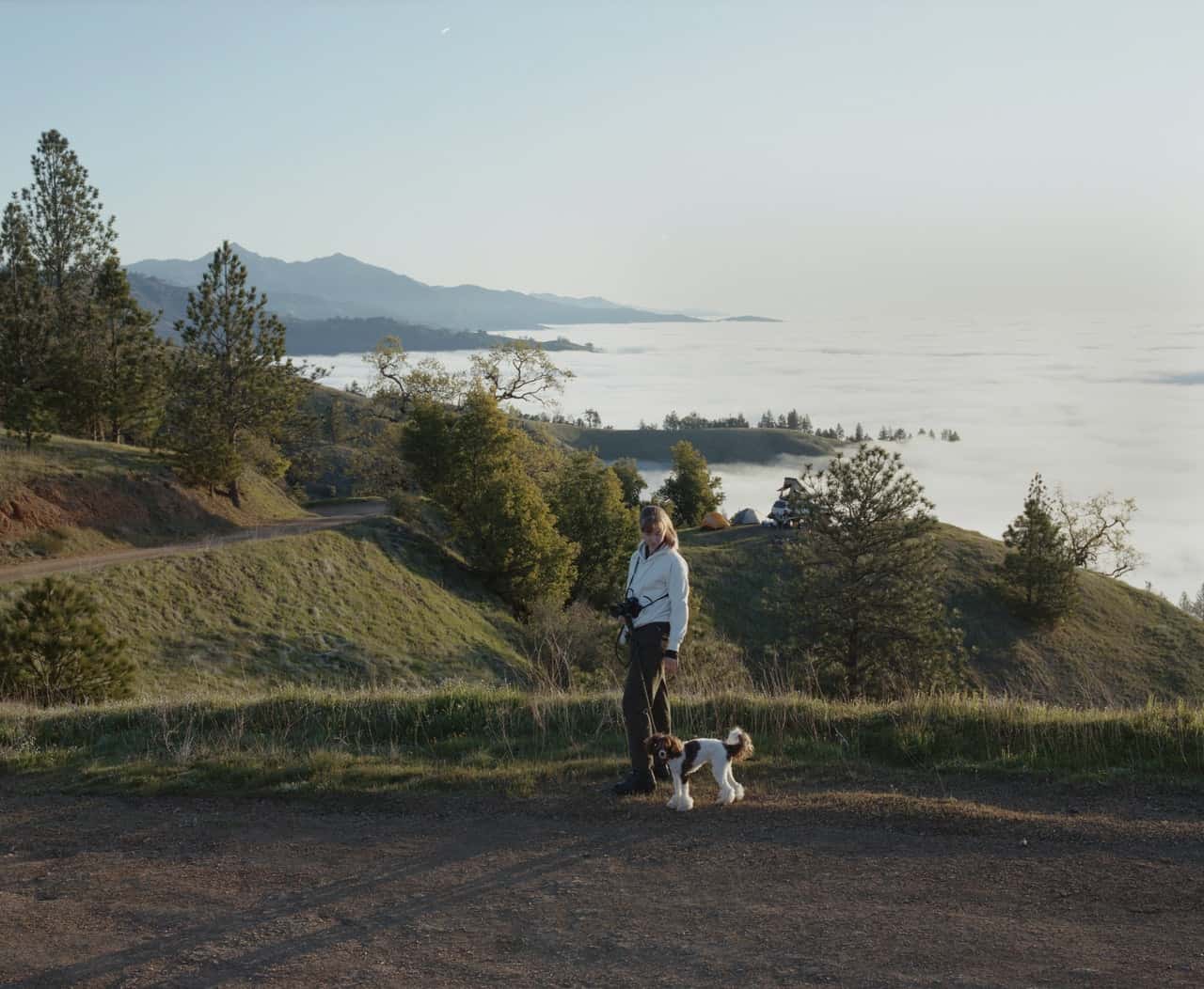 female-tourist-strolling-with-dog-near-rocky-seacoast-4566044