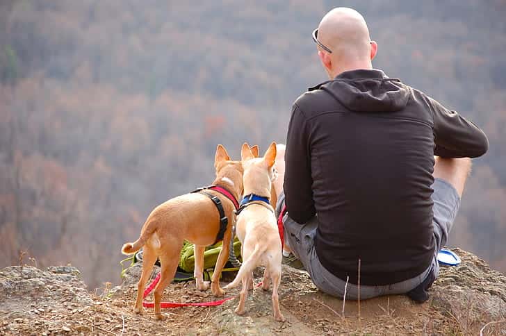 man-dogs-hiking-edge-preview