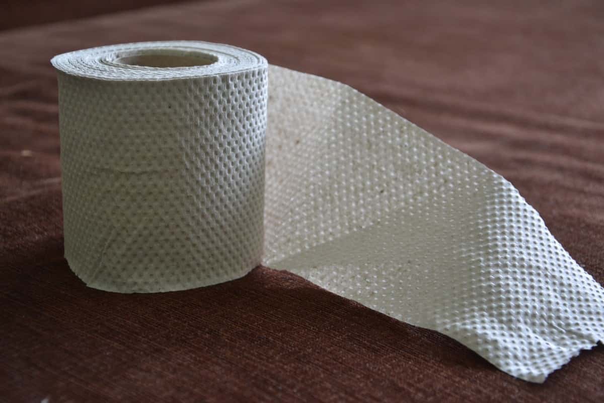 toilet_paper_paper_the_tape_paper_tape_grey_paper-1341944