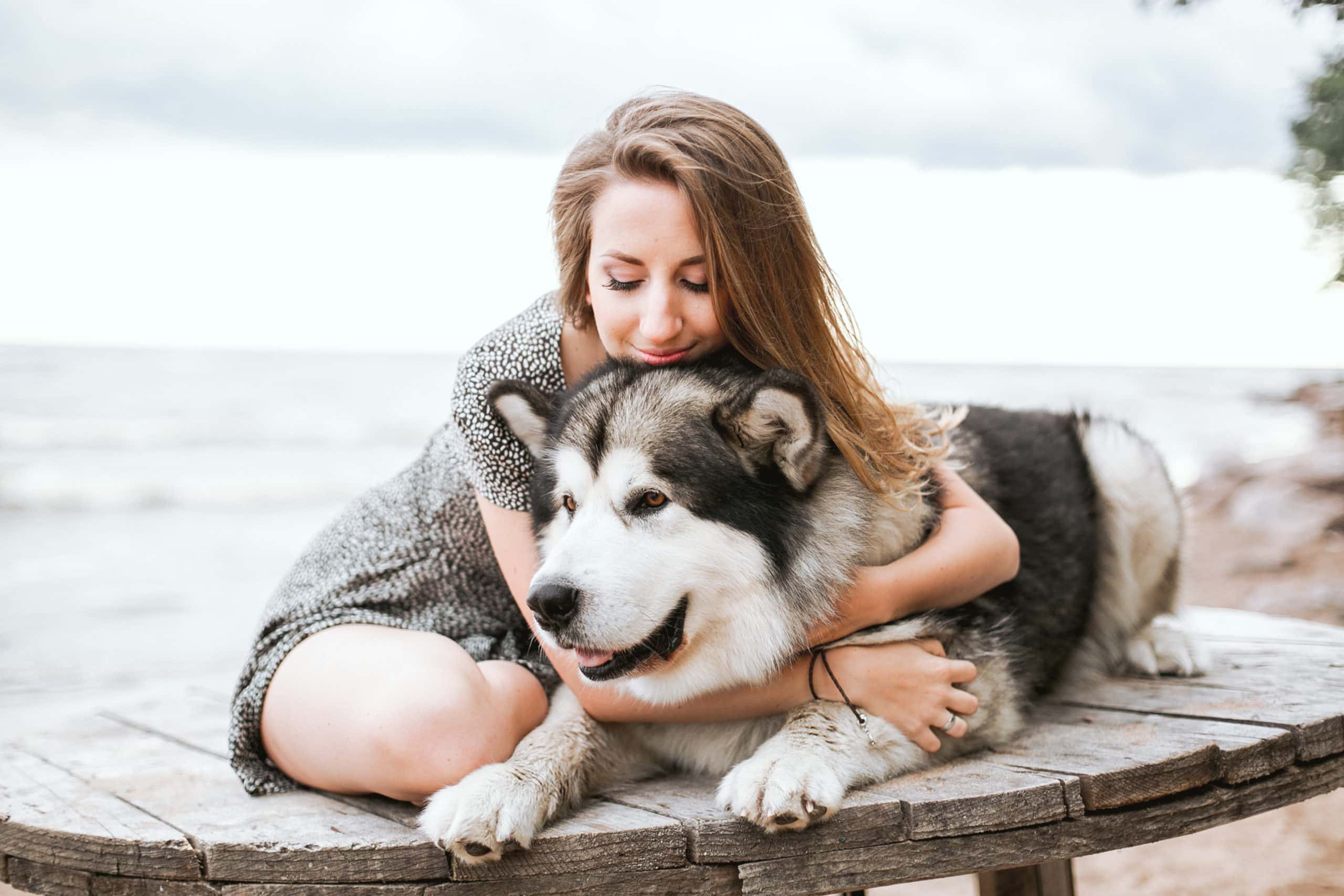 woman-in-gray-dress-hugging-black-and-white-siberian-husky-3671298