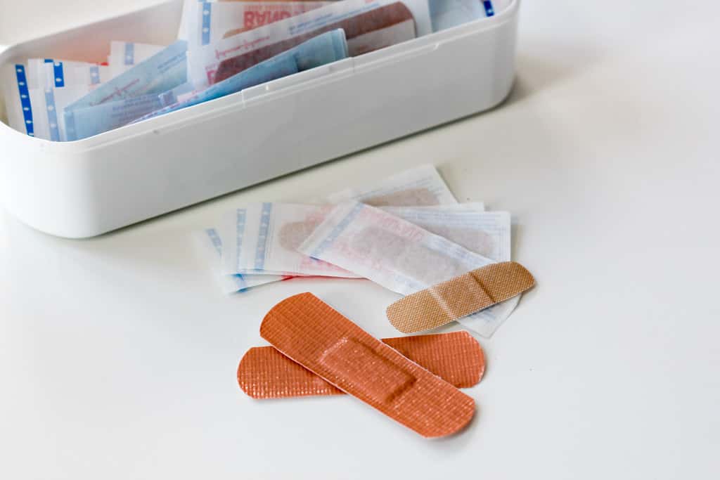 27119852779_464686e738_b