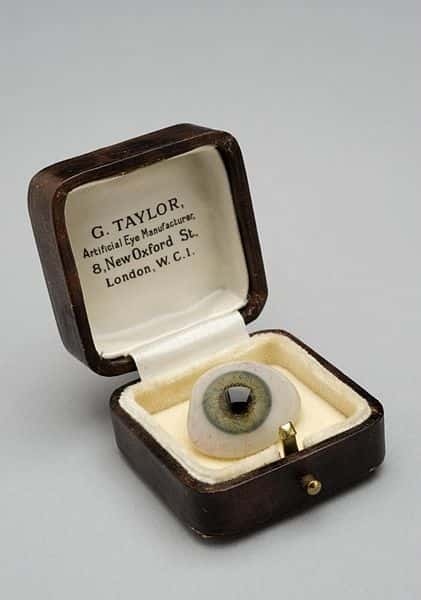 White_glass_eye_with_blue_iris,_cased,_London,_England,_1901_Wellcome_L0059058