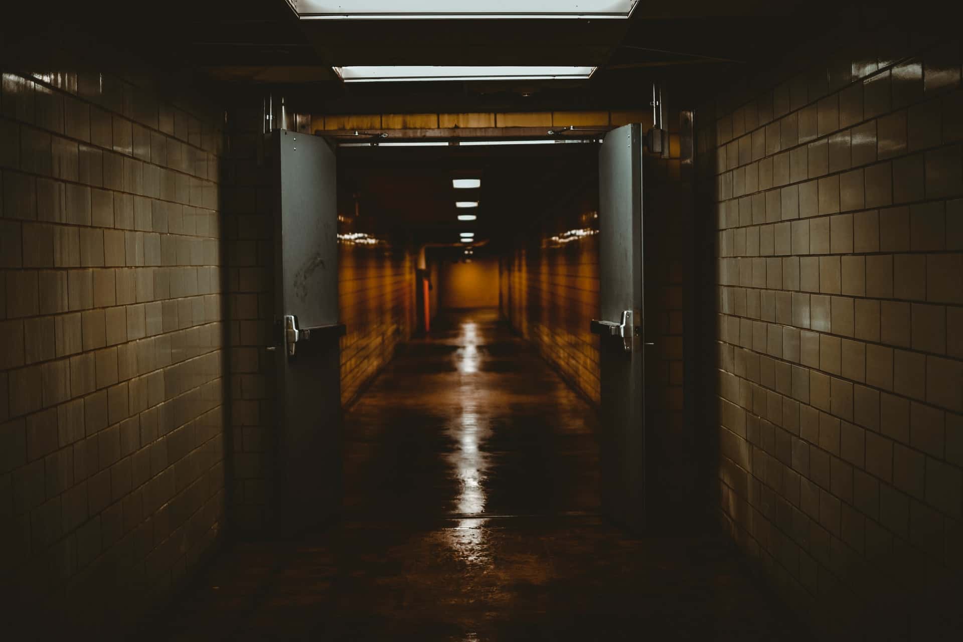 andy-li-L_QJabM3f-U-unsplash