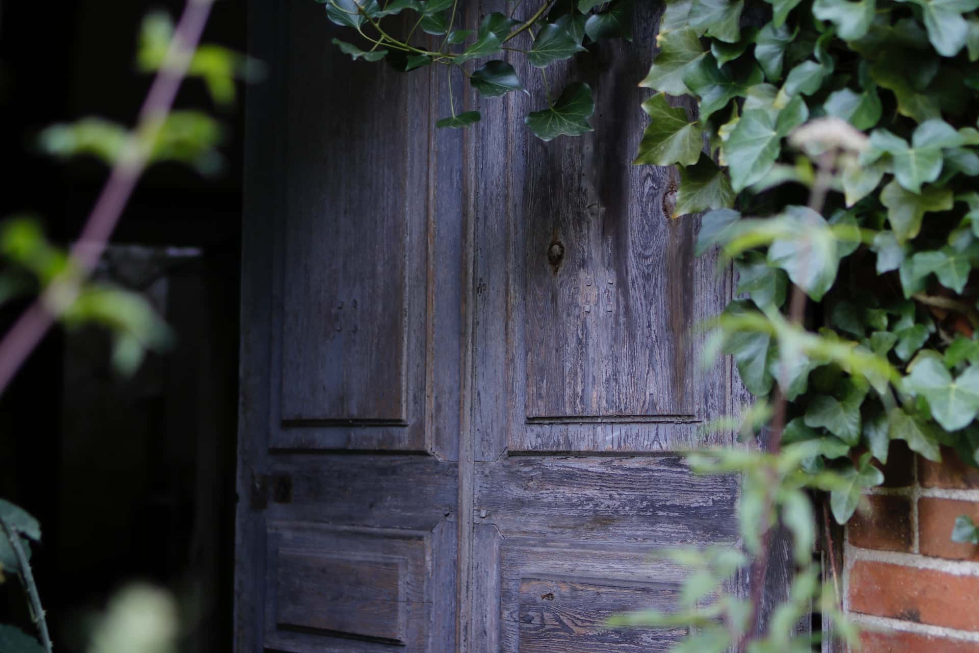 benoit-dare-L6gpvhYMTJg-unsplash(1)