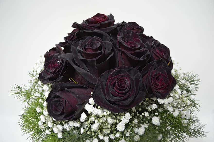 bridal-bouquet-black-roses-black-rose-bridal-bouquets