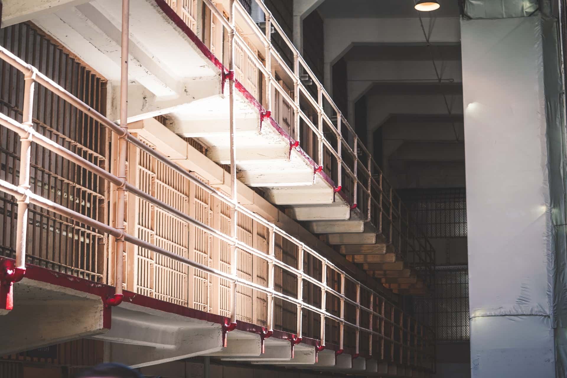 eric-ward-kZhF4evLKeI-unsplash