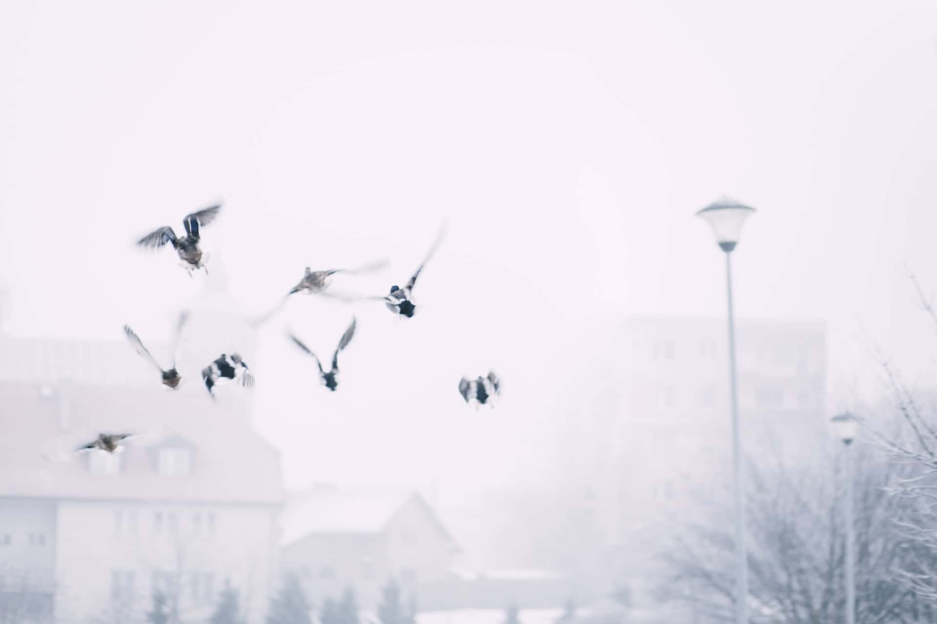 freestocks-wtrSBsx8V7w-unsplash