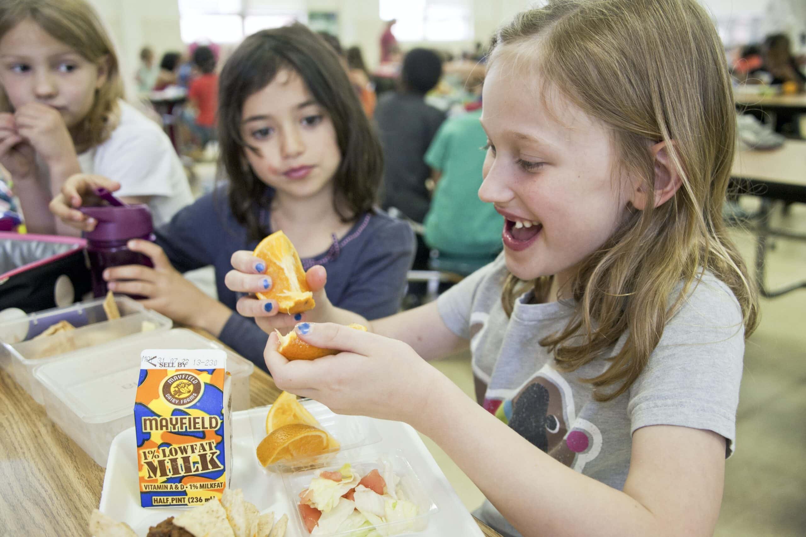 image-from-rawpixel-id-2288309-jpeg