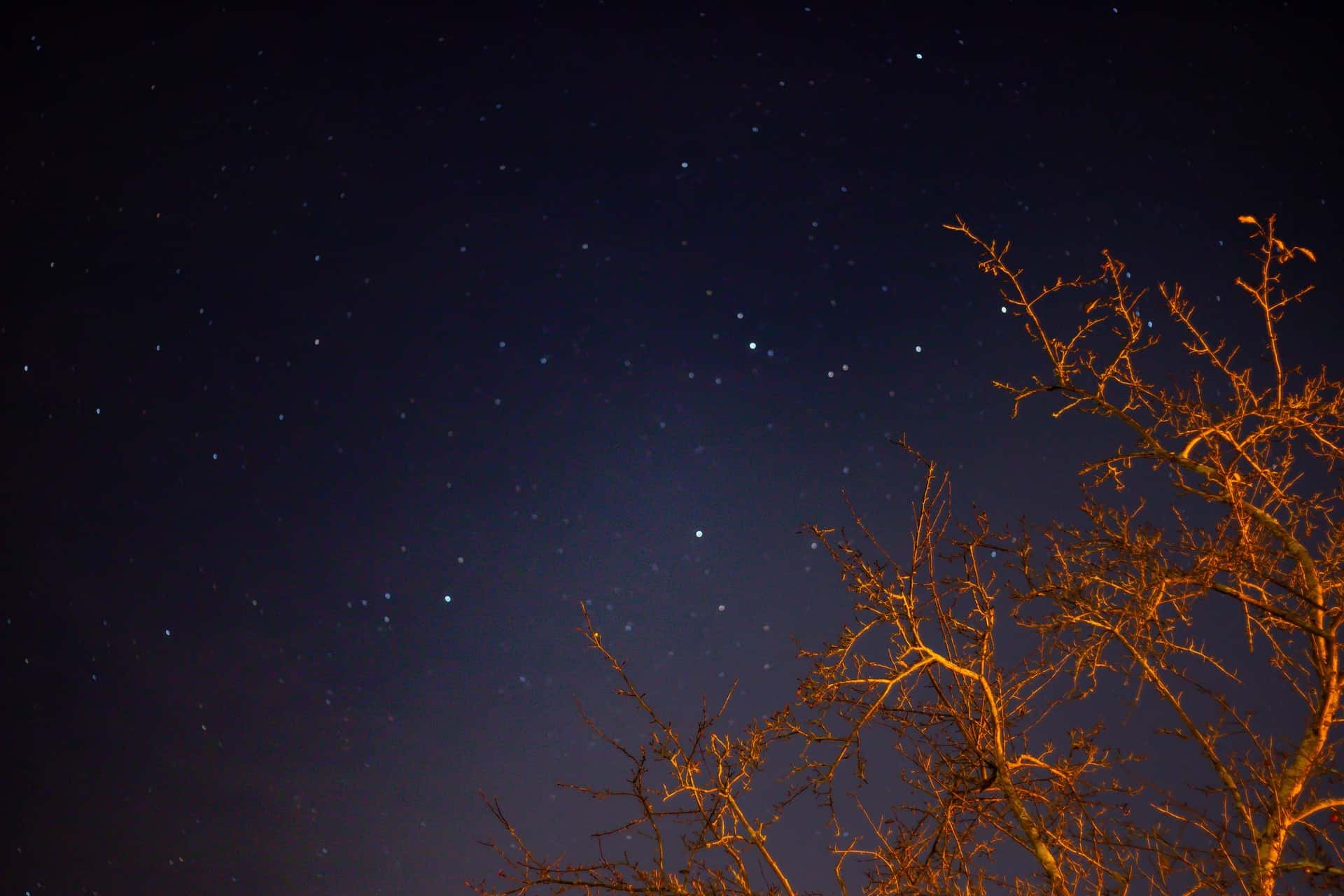 joshua-sukoff-zWNdEfyVEEs-unsplash
