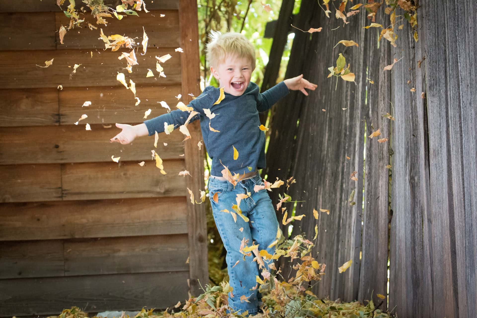 justin-young--s_1UGgL8aY-unsplash