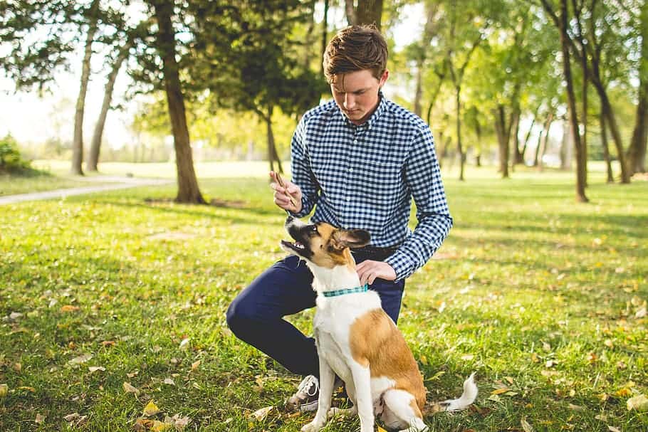 men-s-white-and-blue-gingham-dress-shirt