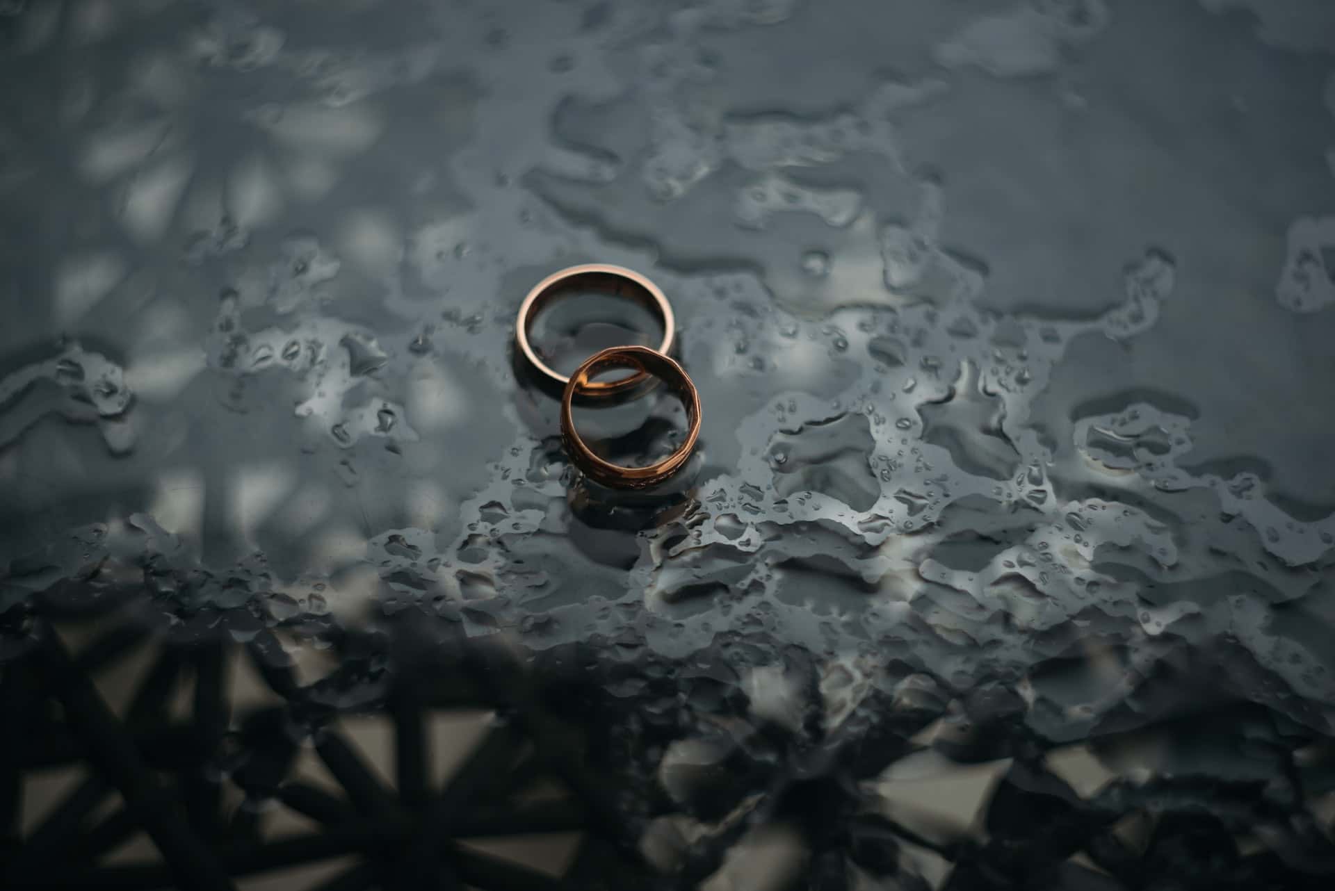 zoriana-stakhniv-PUVgHyBgZn8-unsplash