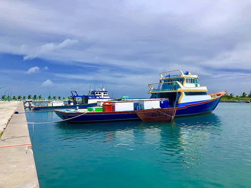 800px-Fishing_Boats,_Mathiveri,_Maldives