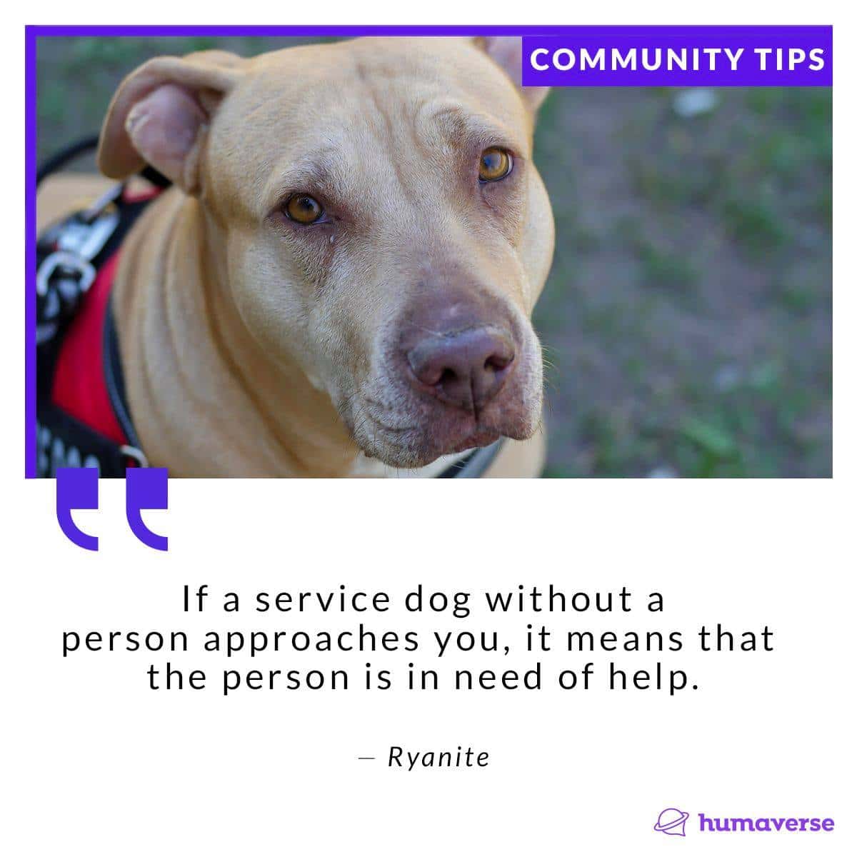 tip12